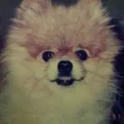 タップ