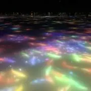 ぬぬぬの画像