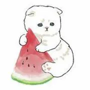 ととら