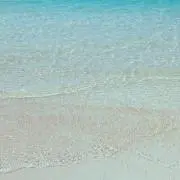 のん。