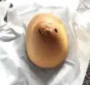 パサージュの画像
