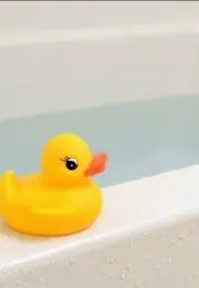 ちゃいこの画像
