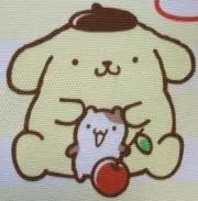 ぽむち♨