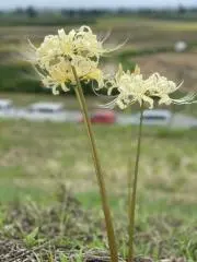 ※プロフィール必読※三食ごはん