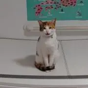 もなおう（プロフ一読お願いします）