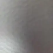 シンシロの画像
