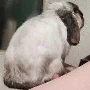 なつみんの画像
