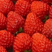 candyの画像