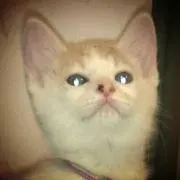 まいちゃ