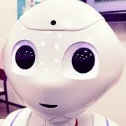 ぽるみいの画像