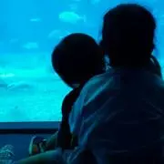 なつなつ