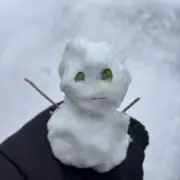 りんごあめの画像