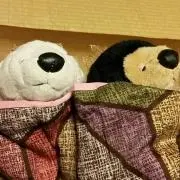 おもち