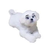 neu