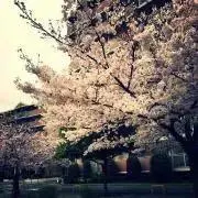 NONの画像