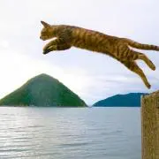 なおひろ