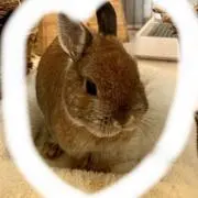 まる⭐︎プロフィールお読みください⭐︎の画像