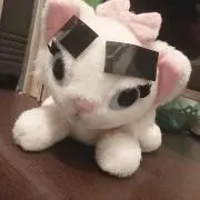 まるみちゃんの画像