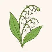 すずらんらんの画像