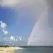 micoの画像