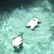 ryonyの画像
