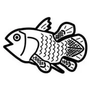 シーラカンスの画像