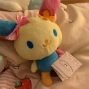 ｳｻﾊﾅ