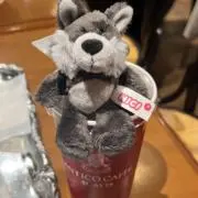 みのの画像