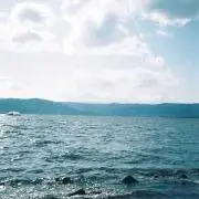 ナナの画像