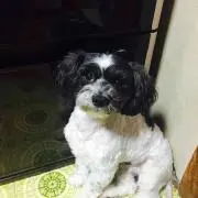 kai