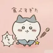 pinnchanの画像