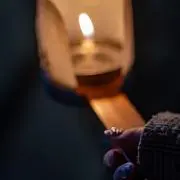 ねむの画像