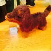 メグの画像