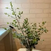 しらクロ　香水断捨離中の画像