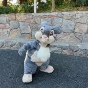 とんすけの画像