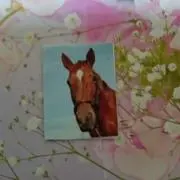 パチョリの画像
