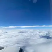 ももの画像