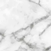 S(プロフ必読)の画像