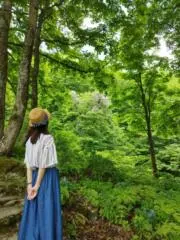 ウイの画像