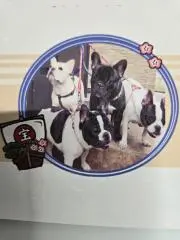 やまさく