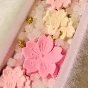 04れんこんの画像