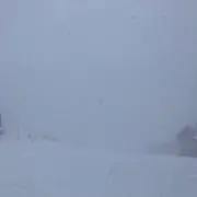 たらんぼ
