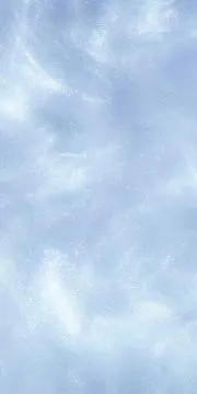 ちゃむの画像