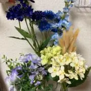 Mioの画像