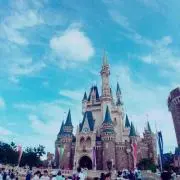 R.の画像