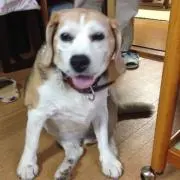 たくみん