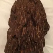 suetomo
