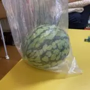 イオバルディの画像
