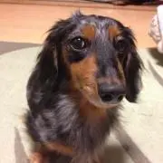 JUN