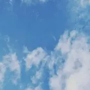 ゆの画像